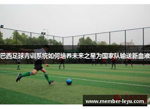 巴西足球青训系统如何培养未来之星为国家队输送新血液